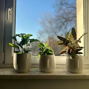 Smart Apartament